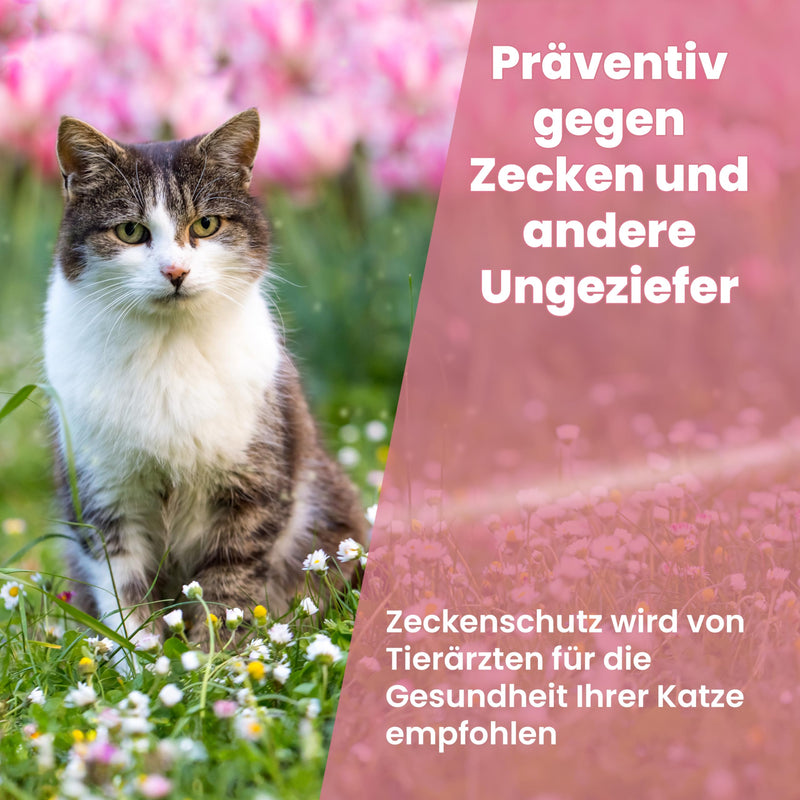 Animal Vita® Spot On tick protection for cats [reliable tick protection] tick repellent for cats - tick protection for cats - Spot On for cats - BeesActive Australia