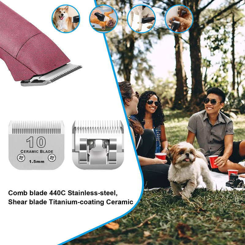 3 Pack 10# Detachable Pet Dog Grooming Ceramic Blades,Compatible with Andis,Oster A5,Wahl KM-10 Series,Size #10 Blade 1/16-Inch 1.5MM Cut Length 3pc 10:1/16''(1.5mm) - BeesActive Australia