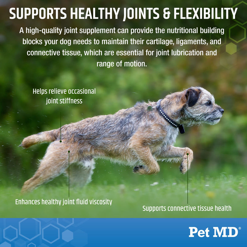 Pet MD Glucosamine for Dogs | Dog Joint Supplement with Glucosamine, Chondroitin & MSM - Inflammatory Pain Relief Chews for Hip & Joints - Bacon Flavored - Includes Yucca & Turmeric - 120 Ct - PawsPlanet Australia