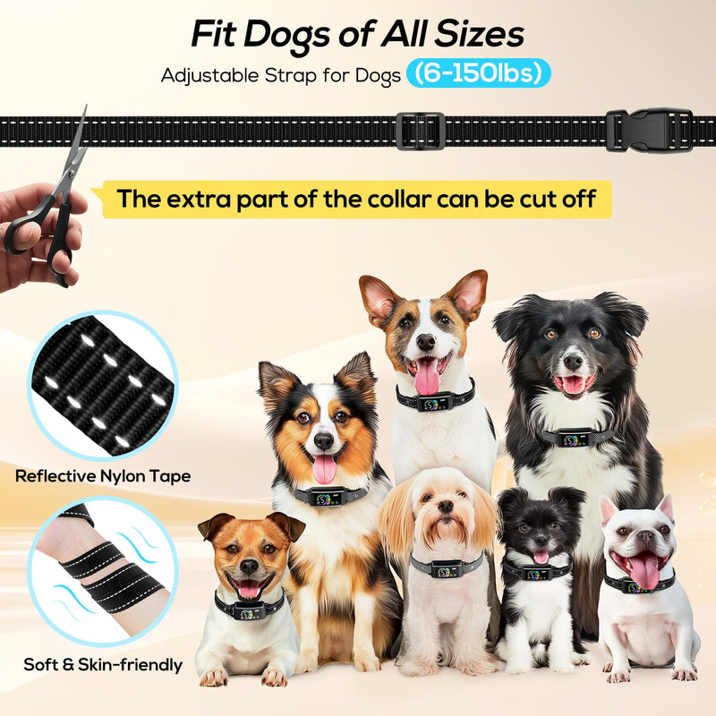 Bark Collar 2 Pack, Dog Bark Collar for Large Medium Small Dogs, Rechargeable Anti Barking Training Collar with Beep Vibration Harmless Shock, Smart Collar with 5 Adjustable Sensitivity Black - BeesActive Australia