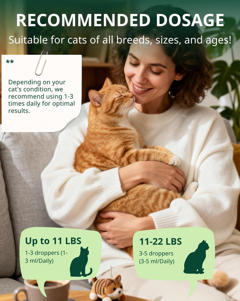 Feline Urinary Tract Health, Cat UTI Remedy, Cranberry & Natural Herbal Cat Supplement for Urinary and Kidney Health, Promotes Immunity, Chicken Flavor, 60ml/2fl.oz - BeesActive Australia