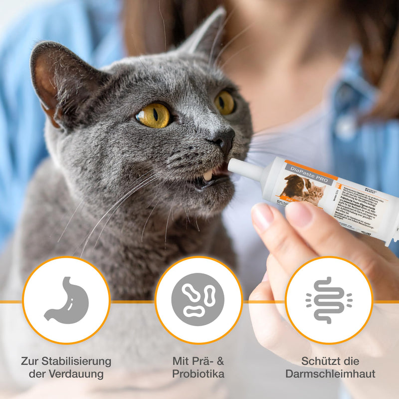 Alfavet DiaPaste PRO for Dogs & Cats (60 ml) – Prebiotic & Probiotic Paste – Digestive Support, Gut Flora Balance, Stool Consistency, Easy-to-Use Oral Injector
