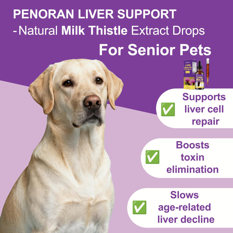 Milk Thistle Liver Support Liquid for Dogs and Cats | targets liver damage and fat buildup, repairs damaged cells, enhances liver detoxification, metabolic capacity