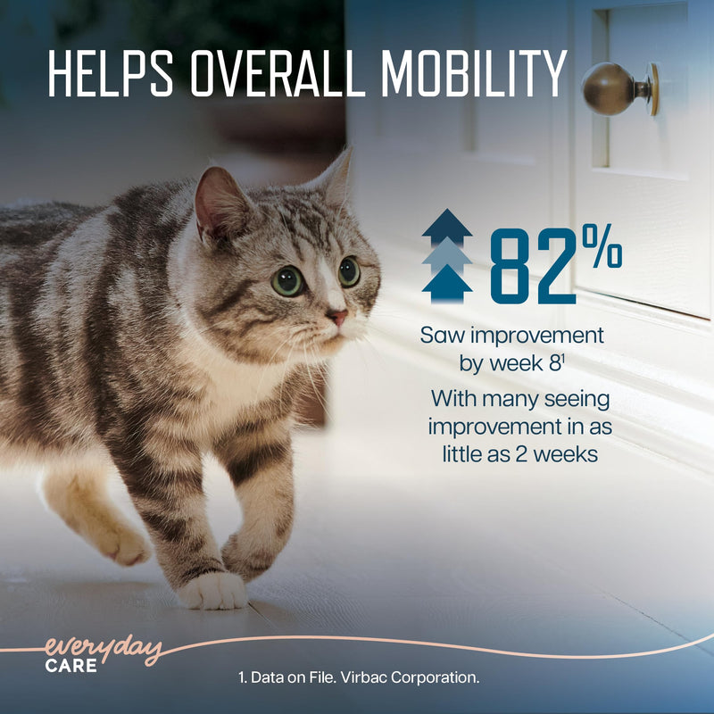 Virbac URSOLYX™ Soft Chews for Cats | Muscle Health Support for Senior, Active or Recovering Cats | 60 Count 2- Month Supply