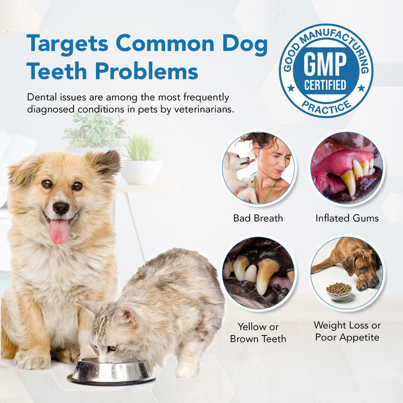 Dental Powder for Dogs and Cats - Plaque Control & Tartar Remover, Breath Freshener with Probiotics, Vitamins & Natural Extracts - Perio Support Powder for Dogs Cats-2.82 oz (80g) - BeesActive Australia