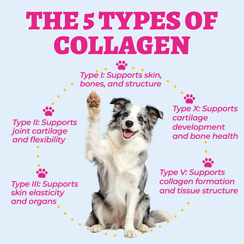 Wellix 9.17 oz Collagen Chews for Dogs, Dog Hip & Joint Supplement with Glucosamine, MSM, Chondroitin, Vitamins, for Joint Health & Mobility Support, Skin & Coat Health, for Small/Medium/Large Breeds