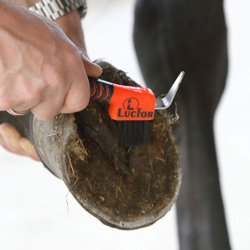 LUCFOR hoof scraper for horses with gel handle, 2-in-1 scraper for scraping hooves and brushing, black-orange - BeesActive Australia