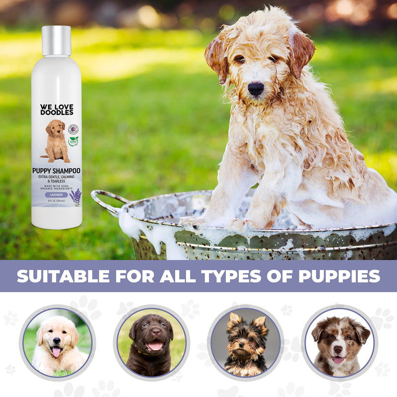 Puppy Shampoo & Conditioner | Made in USA | Organic Ingredients | Tear Free | Best Shampoo for Puppies | Sensitive & Itchy Skin Wash | Oatmeal Bathing | Tearless, Lavender, 8oz [We Love Doodles] - BeesActive Australia