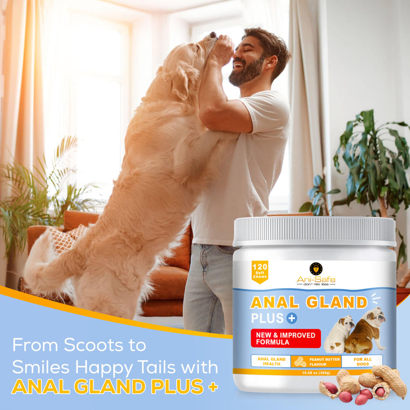 XL Pack - Ani-Safe Anal Gland PLUS Dog Treats for Digestive Pro + Postbiotic - Gut Health, Sensitive Tums, Scooting, Loose Stools, Smelly, Itchy Ears, Enzymes Great for all dogs 120 300g