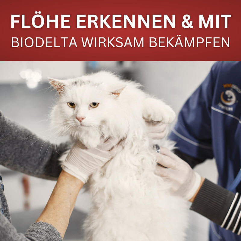 Biodelta Anti Flea Spray for Dogs and Cats - Flea-Ex Environmental Spray Pet Dog Fleas Fight Cat Fleas in Acute Infestation & Preventive - Flea Spray Apartment Furniture Bed - Highly Effective (500ml) 500ml - BeesActive Australia