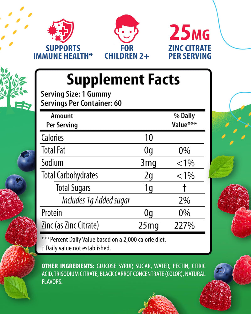 Zinc Gummies for Kids - Chewable Zinc Gummy Supplement for Children Immune Support - Low Sugar Natural Antioxidant Non-GMO Vitamin Chewables for Toddlers & Teens - 2Pack 120 Count (Pack of 1)