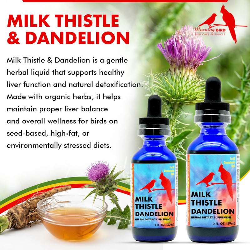 Morning Bird Milk Thistle & Dandelion Extract 1 fl oz – Organic Herbal Supplement for Birds – Supports Liver Health & Natural Detox – Suitable for All Bird Species