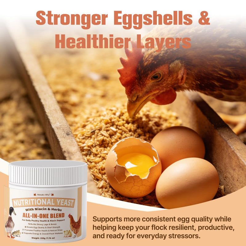 Nutritional Yeast for Ducks & Chickens - Up to 10X More Niacin Than Brewers Yeast for Chickens - Duck & Chicken Vitamins for Strong Bones, Immune Support, Molting & Egg Quality-for Chicks & Ducklings