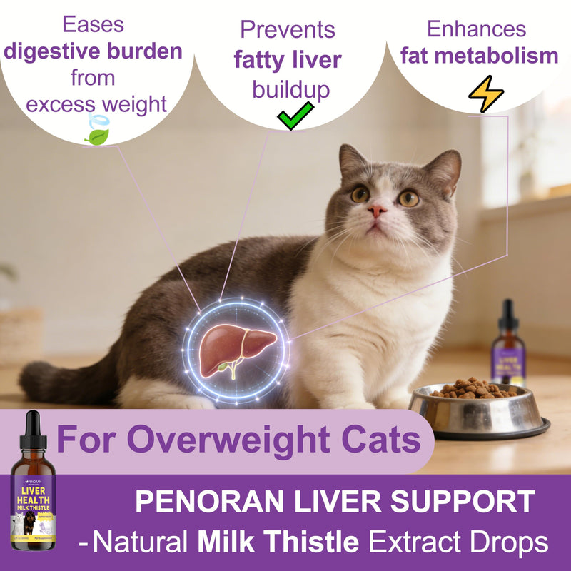 Milk Thistle Liver Support Liquid for Dogs and Cats | targets liver damage and fat buildup, repairs damaged cells, enhances liver detoxification, metabolic capacity