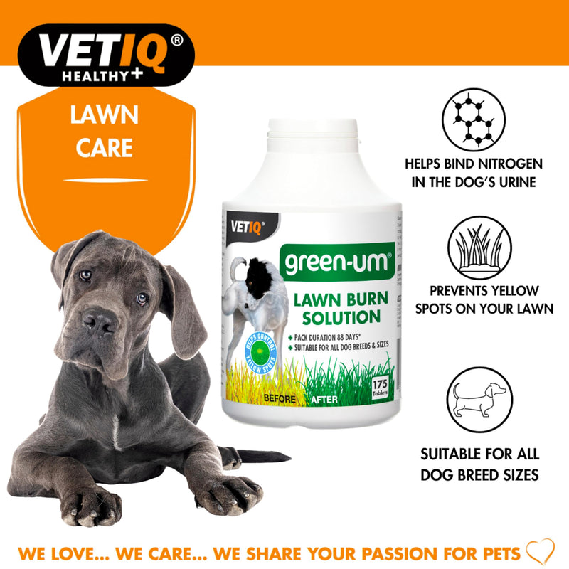 VETIQ Green-Um Lawn Burn Solution, Dog Urine Neutraliser Tablets to Control Nitrogen in Urine to Prevent Lawn Yellow Spots, 175 Tablets (Pack of 1)