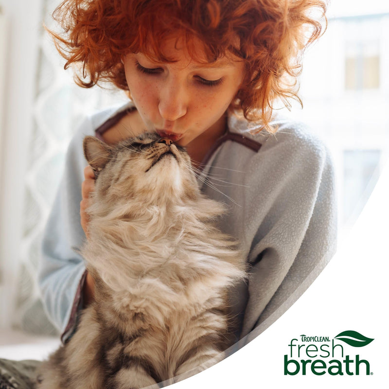 TropiClean Fresh Breath Cat Dental Water Additive + Urinary Tract Support, with Cranberry Extract, Teeth Cleaning & Breath Freshener Solution, 16oz