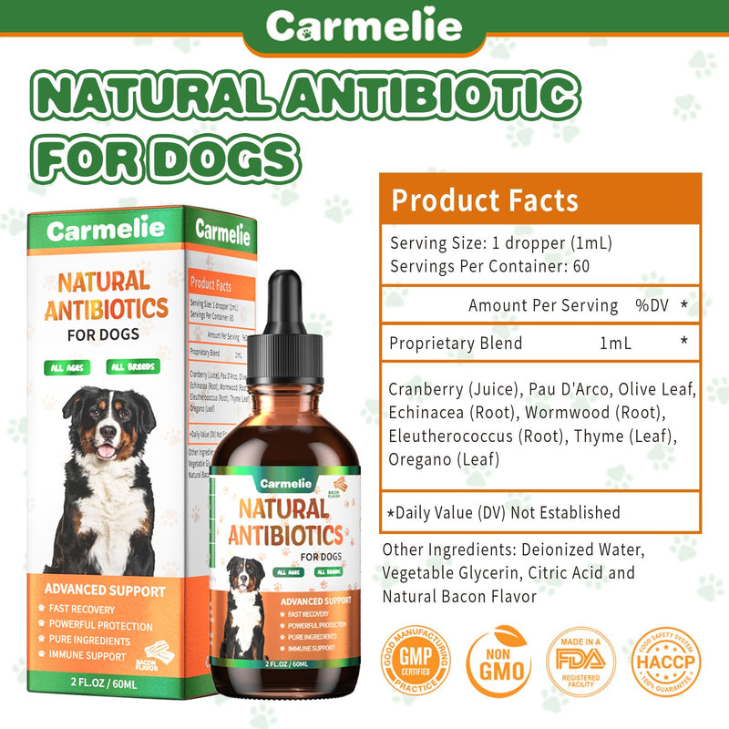Natural Antibiotics for Dogs - Dog Antibiotics Nutritional Supplements for Skin Issue, Itch Relief, Dog and Cat Herbal Supplement Drops for Pets, Supports Skin Health - 60 ml/2 Fl Oz