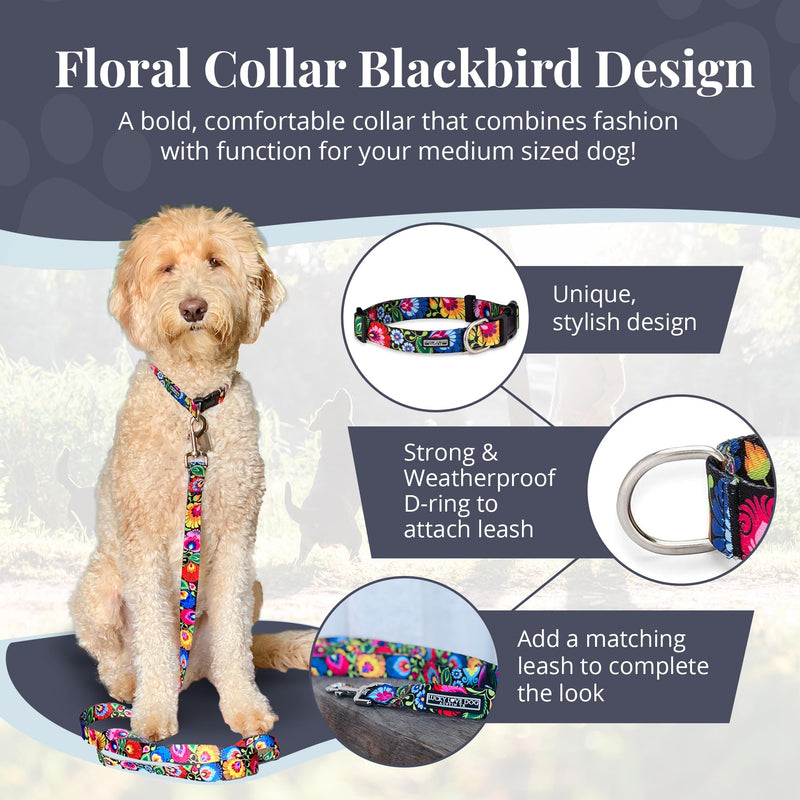 Lucky Love Dog - Adjustable Dog Collar with Easy Click Buckle for Small to Large Dogs, Durable, & Comfortable Collar for Male & Female Dogs, Pet Collar for Puppies & Adult Dogs - Blackbird, Medium Medium | 13-21" Blackbird Collar Only - BeesActive Australia
