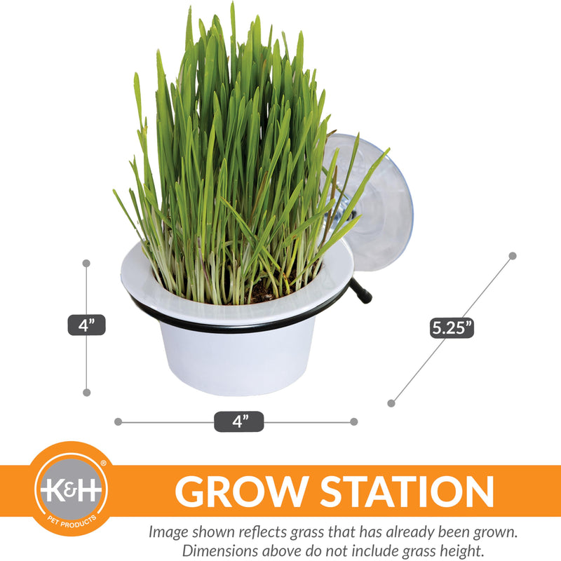 K&H Pet Products EZ Mount Grow Station Cat Grass for Indoor Cats, Healthy Home Grown Oat Grass Kit Mounts to Windows, Pairs Purr-fectly with Window Perches, Farmed in USA Non-GMO - 1 Refill Included - PawsPlanet Australia