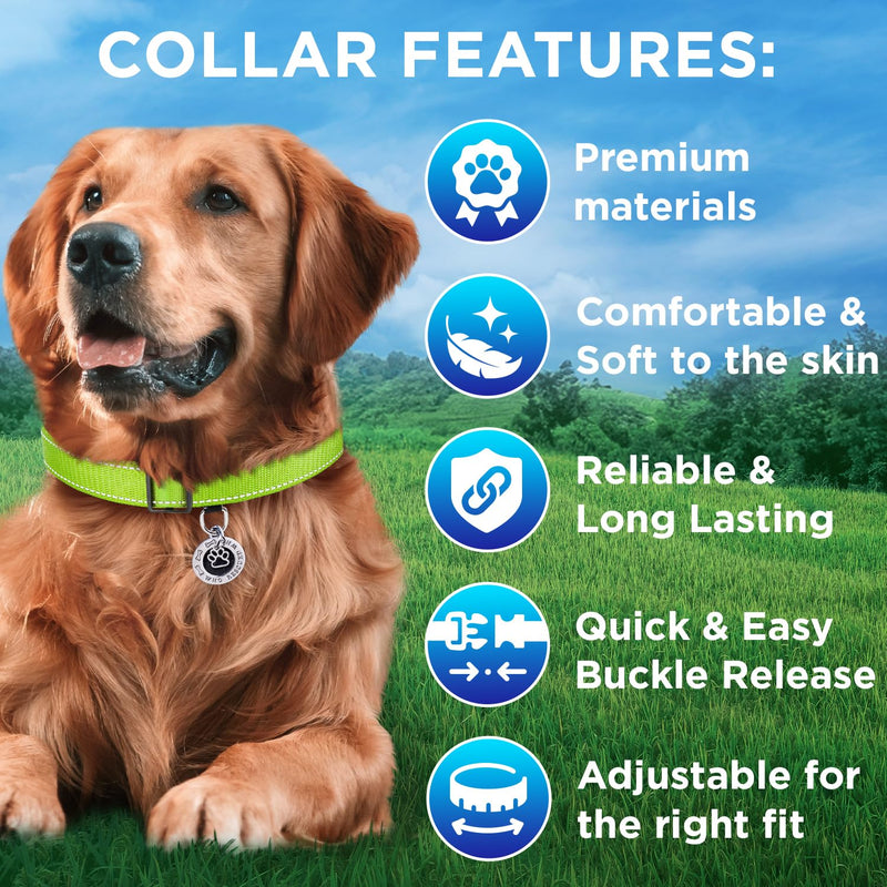 TECEUM Reflective Pet Collar – Acid Green – S – Extra Soft Padding – Basic Nylon Dog Collar – Quick Release Buckle – Fits Small, Medium and Large Dogs, Puppies, Cats – ESA & Service Dog Options - BeesActive Australia