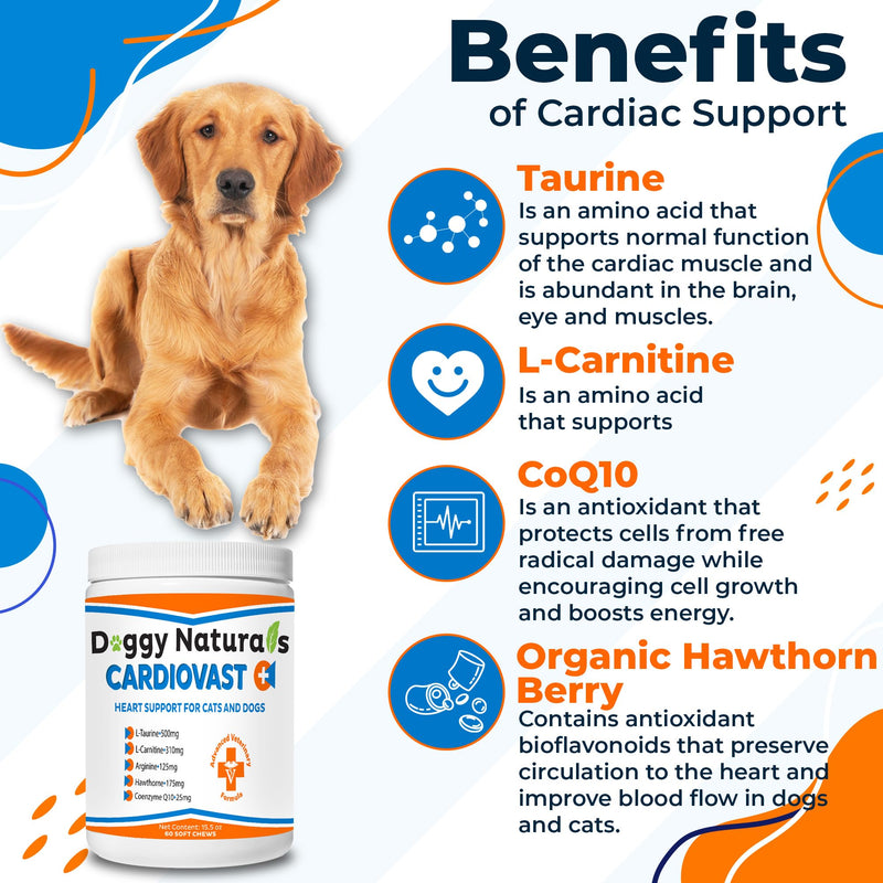 CardioVast Cardio Support and Cardio Strength Supplement for Dog and Cats, L-Taurine, L-Carnitine, Hawthorn, L Arginine, Coenzyme Q10-Supports Cardiovascular Heart Health - Made in USA - 60 Soft Chew