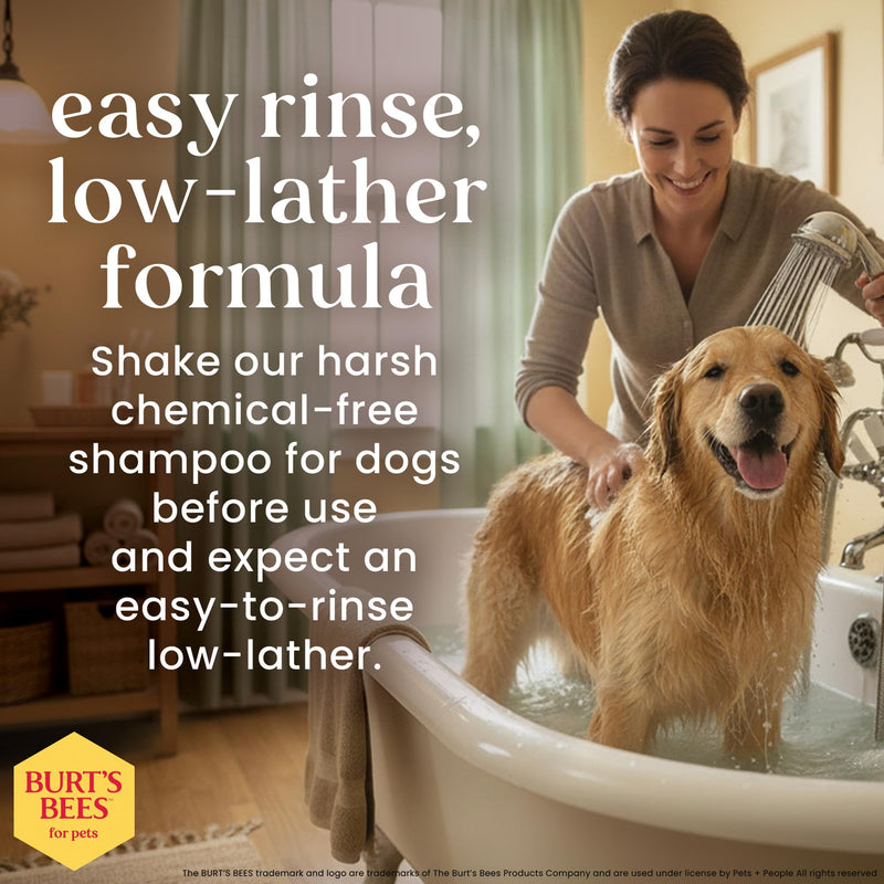 Burt's Bees for Pets Itch Soothing Spray for Dogs, Prebiotics Collection with Mushroom Extract & Green Tea, Naturally Derived Dog Itching Skin Relief Spray, 10oz 10 Fl Oz (Pack of 1)