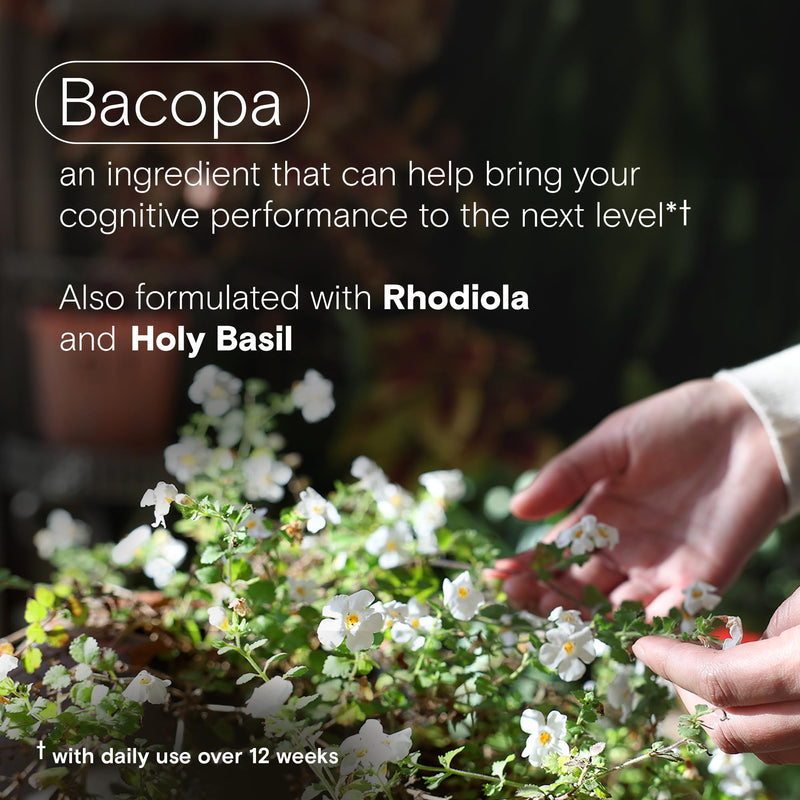 One A Day Cognitive Supplement ‚Äì Brain Supplement to Support Cognitive Performance for Men and Women with Bacopa. Also includes Rhodiola, & Holy Basil, 30 Capsules (Packaging May Vary) 30 Count (Pack of 1)