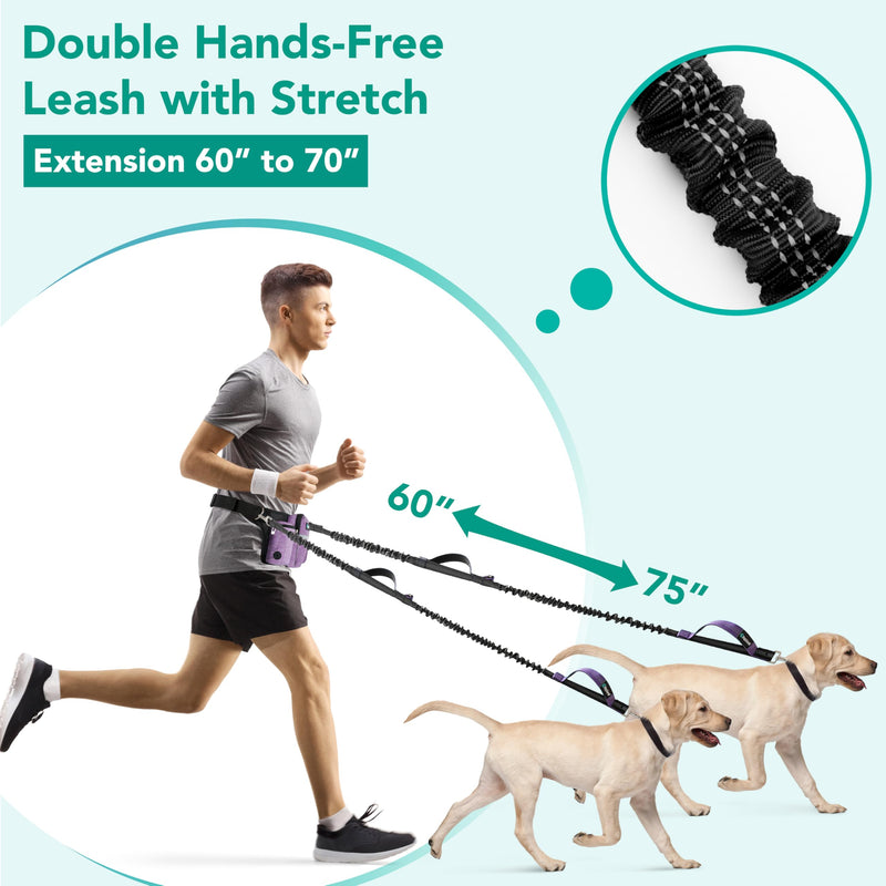 PetAmi Premium Hands Free Dog Leash for 2 Dogs, Adjustable Waist Belt Leash for Dog Walking, Fanny Pack Accessories Bag Dual Bungee Leash for Running, Hiking, Jogging, Biking, Purple 2 Leashes