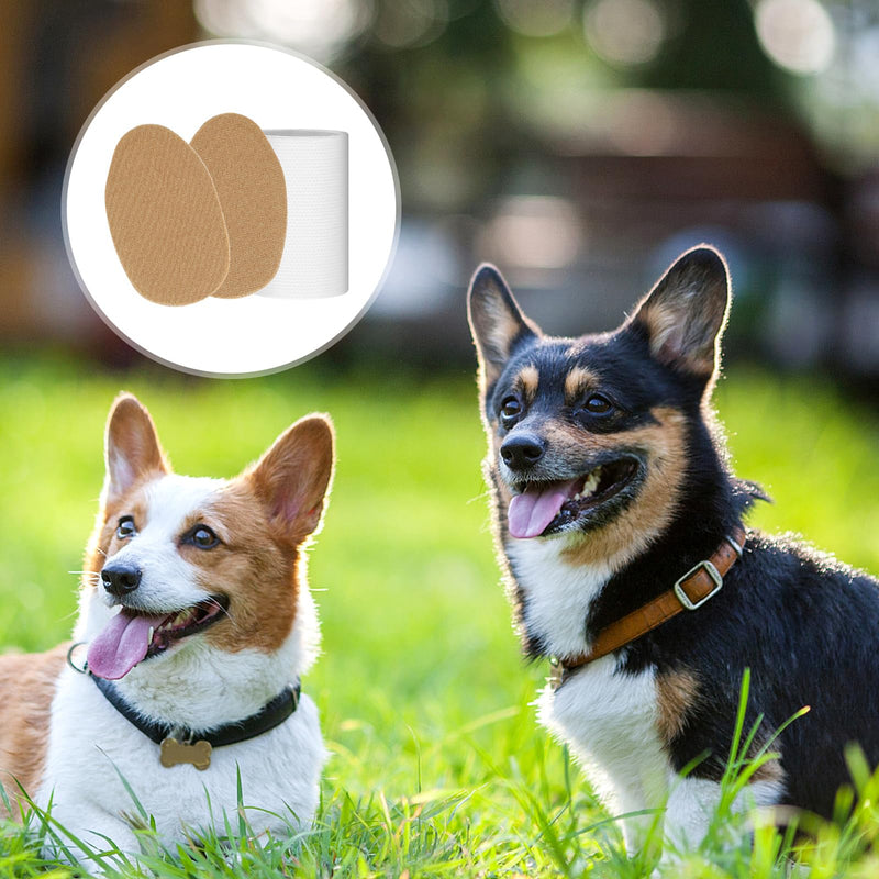 POPETPOP 1 Pair Dog Ear Erector, Dog Ear Stand Sticker Up Support Tool, Dog Ear Fixed Correction Vertical Holder for Doberman Corgi Chihuahua Puppy - PawsPlanet Australia