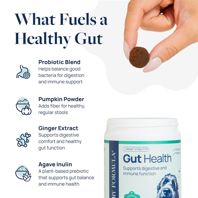 Veterinary Formula Gut Health Supplement for Dogs – Vet-Formulated Probiotic Chews with Digestive Enzymes & Fiber – Smart Vitality Supports Digestive Health, Gut Balance & Stool Quality, 60 Soft Chews 60 ct