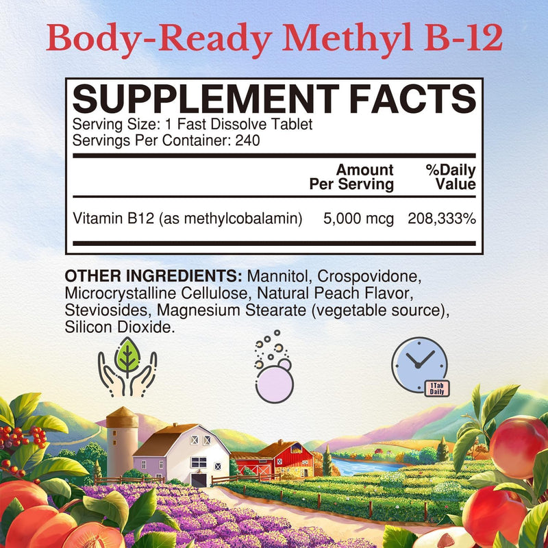 Vitalitown Vitamin B12 (Methyl B12) 5000 mcg, Fully Bioactive Form, Support Energy Production, Natural Peach Flavor, Zero Sugar, 240 Fast Dissolve Tablets 240 Count (Pack of 1)
