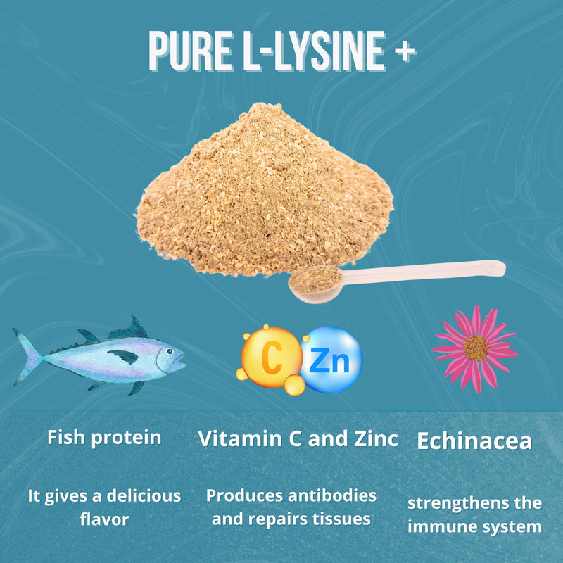 L-Lysine for Cats Powder 300g – Immune Support with Echinacea, Vitamin C & Zinc – Fish Flavour – Helps Respiratory Health & Cat Cold – Suitable for Kittens, Adult & Senior Cats