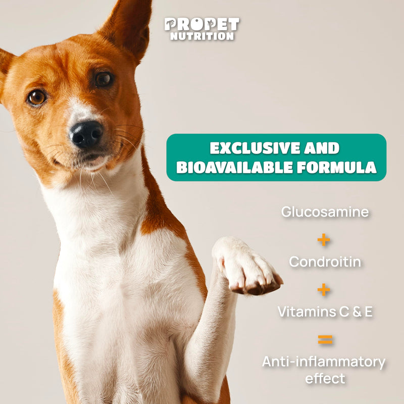Joint Supplement for Dogs with Glucosamine, Chondroitin, Vitamins, Hyaluronic Acid and MSM. Anti Inflammatory. Supports Joint Structure & Maintains Mobility Adult/Senior/Junior Dogs