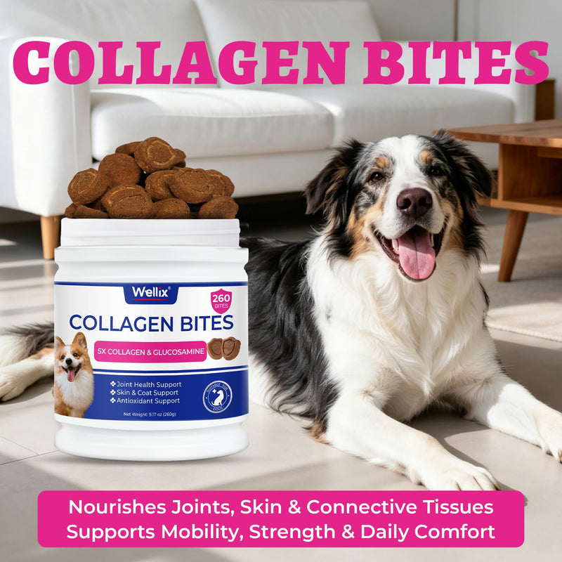 Wellix 9.17 oz Collagen Chews for Dogs, Dog Hip & Joint Supplement with Glucosamine, MSM, Chondroitin, Vitamins, for Joint Health & Mobility Support, Skin & Coat Health, for Small/Medium/Large Breeds