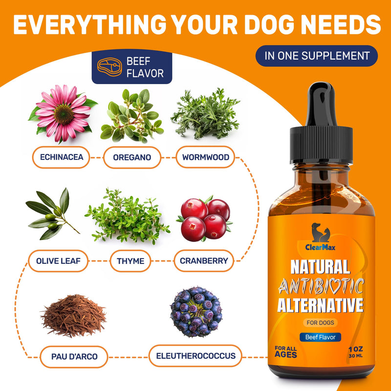 Dog Antibiotics ◆ Antibiotics for Dogs ◆ Natural Antibiotics for Dogs ◆ Antibiotic for Dogs ◆ Dog Antibiotic ◆ Beef Flavor ◆ 1 Oz - BeesActive Australia