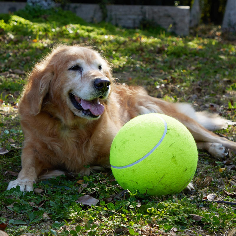 Interactive Dog Toys - Dog Balls for Large Dogs - Dog Toys to Keep Them Busy-Giant 9.5 Inch Dog Tennis Balls for Small/Medium/Big Dogs -Dog Christmas /Birthday Gifts- Jolly Ball for Dogs(with a pump)