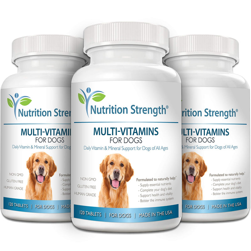 Multivitamins for Dogs, Daily Vitamin and Mineral Support, Nutritional Dog Supplements for All Canine Breeds and Sizes, Promotes Immune Health in Pets, 120 Chewable Tablets - PawsPlanet Australia