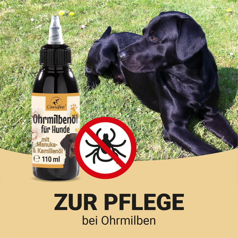 Canifee - Ear drops for dogs ear mite oil dog with manuka oil for yeast fungus and ear mites dog, 110ml bottle with finely adjustable dosing head, natural care oil against inflammation ear mite oil 110ml - BeesActive Australia