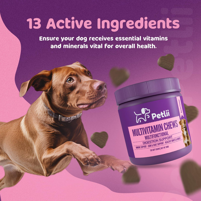 Multivitamin Chews - 120 Bacon Dog Chews | Vitamins, Omegas and Probiotics | Healthy Joints and Gut, Prevent Itching and Improve Vitality