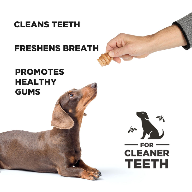 PROJECT HIVE ·PET COMPANY· Dental Chew Treats for Dogs, – Peanut Flavor, Dental Treats, Cleans Teeth & Freshens Breath, Vegetarian, No Grain or Soy (8 Ounce (Pack of 2), Small Hive Chews) 3.5 Ounce (Pack of 2)