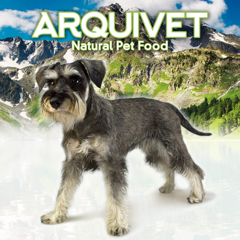 ARQUIVET Serrano Ham Bones, Pack of 3, 100% Natural, for Dogs, Chew Bones, Treats, Rewards - Natural Teether for Dogs 3 Pieces (Pack of 1) - BeesActive Australia