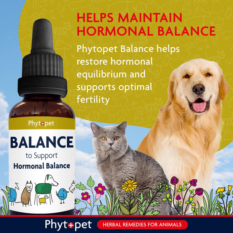 Phytopet Balance, All Natural Hormone Balance and Stability for Dogs and Cats, Easy to Use Herbal Supplements, 30ml - 100% Herbal Phytopet Pet Supplies
