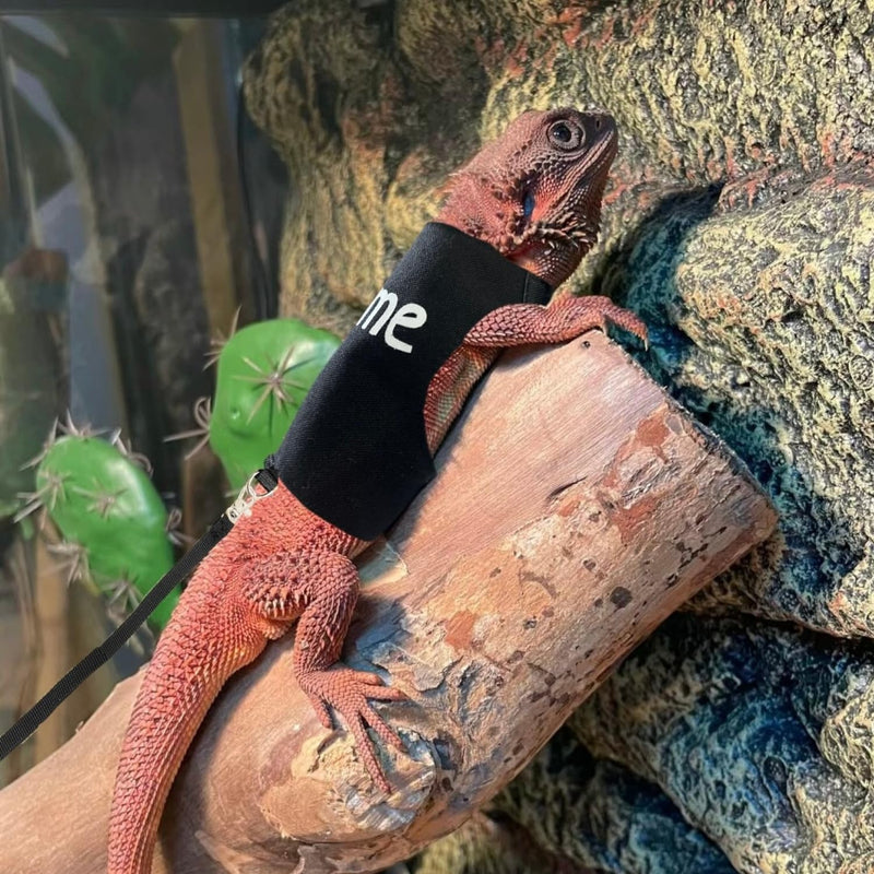Bearded Dragon Leash and Harness Adjustable - Unique Pattern Lizard Cloth Escape Proof Harness with Leash for Walking Outdoor (Black) black - BeesActive Australia