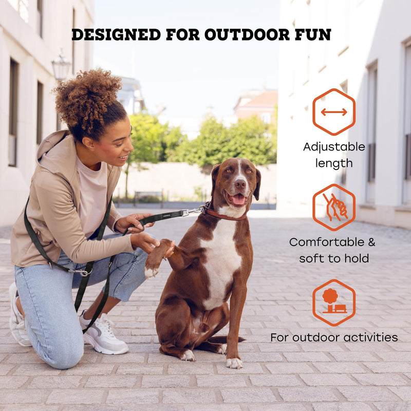 vitazoo dog leash - 3mx2.5cm - nylon graphite leash with carabiners for small, medium and large dogs - adjustable leash with 4 different lengths in black for your dog 3m - BeesActive Australia