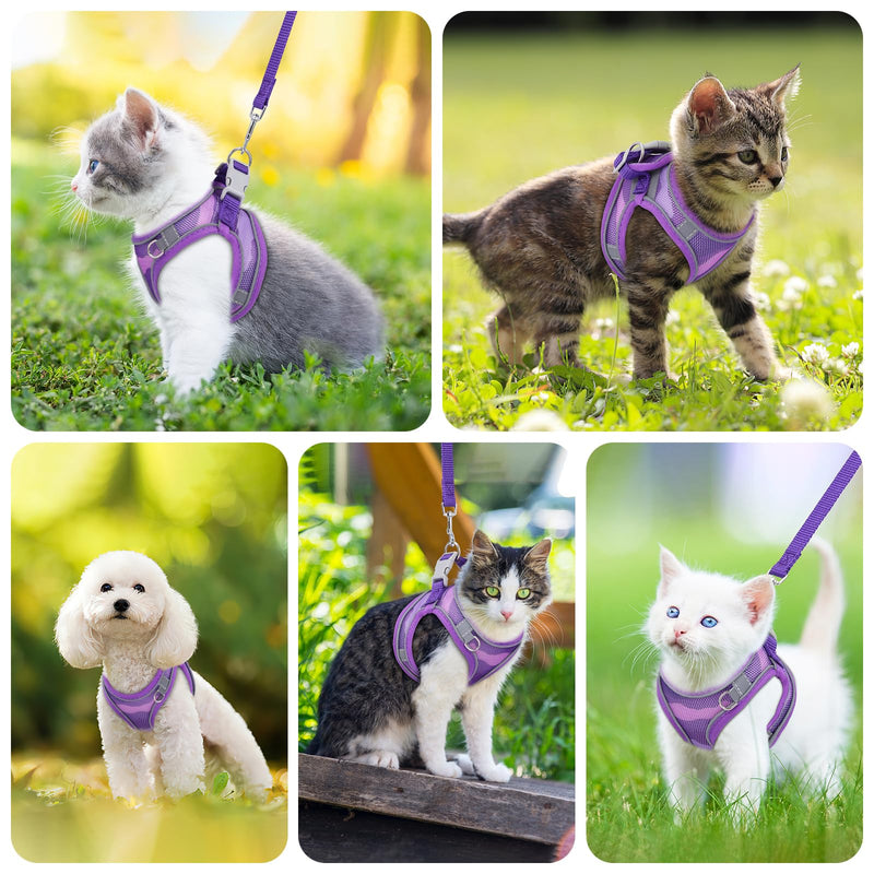 Brifit Cat Harness with Leash, Cat Harness, Cat Leash with Reflective Stripes and Breathable Mesh, Adjustable Cat Chest Harness, Soft Harness for Cats, Kittens, Dogs, Upgraded Purple XS - BeesActive Australia