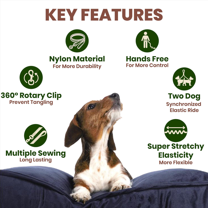 𝐇𝐞𝐚𝐯𝐲 𝐃𝐮𝐭𝐲 Hands Free Dog Leash for 2 Dogs – Dual Bungee Running Leash with Adjustable Waist Belt, Tangle-Free 360° Swivel, Shock Absorbing, Padded Handles & Zipper Pouch - BeesActive Australia