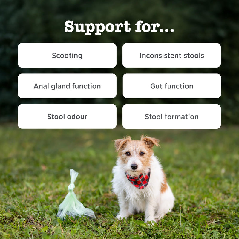 Zesty Paws Scoot Away Chews for Dogs | Supports Anal Gland Function, Digestive Health & Bowel Movements | With Prebiotic Fibre, Oligofructose, Flaxseed Oil, Toasted Pumpkin Seed| Daily Use | 90 Chews