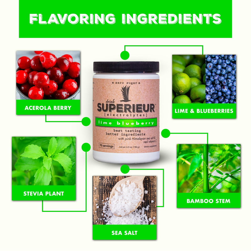 Superieur Sea Mineral Electrolyte Powder, Lime Blueberry, 14 Packets | Plant-based and vegan; zero sugar, keto friendly, non-GMO; for hydration and recovery; healthy sports drink 14 Servings