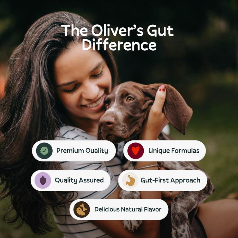 Oliver’s Gut™ Allergy & Immune Chews. Immune Support · Dog Supplement for Itchy Skin and Allergy Aid. Quercetin, Wild Alaskan Salmon Oil, Colostrum, Turmeric. Beef - 120 Count.