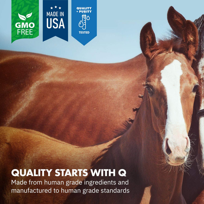 HealthyGut Foal Kit for Horses Dietary Supplement, All-Natural Formula (14 g) 1 Week - BeesActive Australia